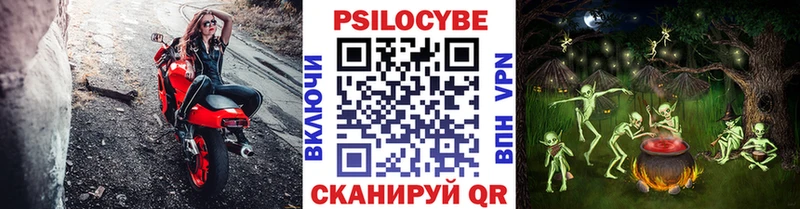 Галлюциногенные грибы мухоморы  Купить где  Краснодар 